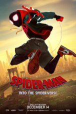 Spider Man Into the Spider Verse (2018)