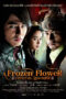 A FROZEN FLOWER (2008)